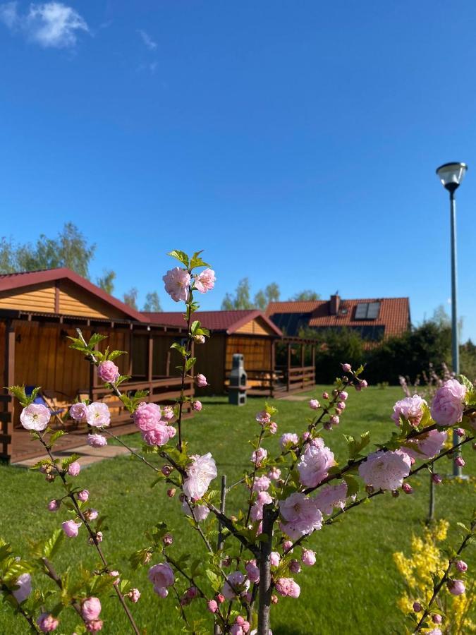 Przy Akacjowej Lodge